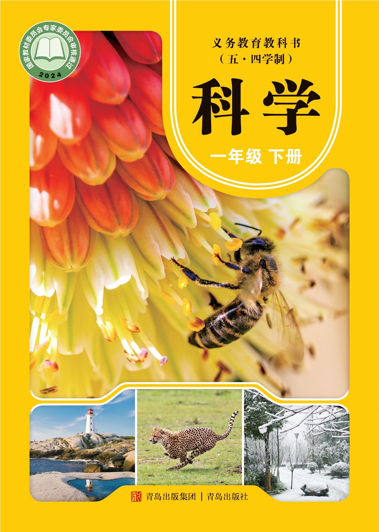 （五•四学制）·科学·一年级下册封面