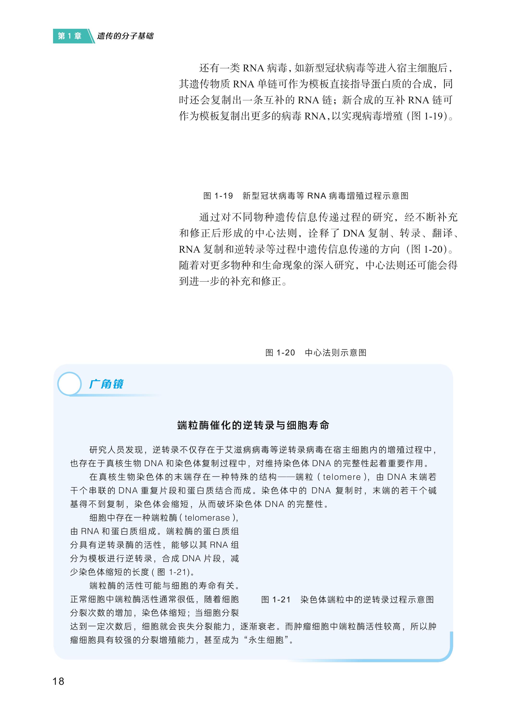 普通高中教科书·生物学必修2 遗传与进化（沪科技版）PDF高清文档下载