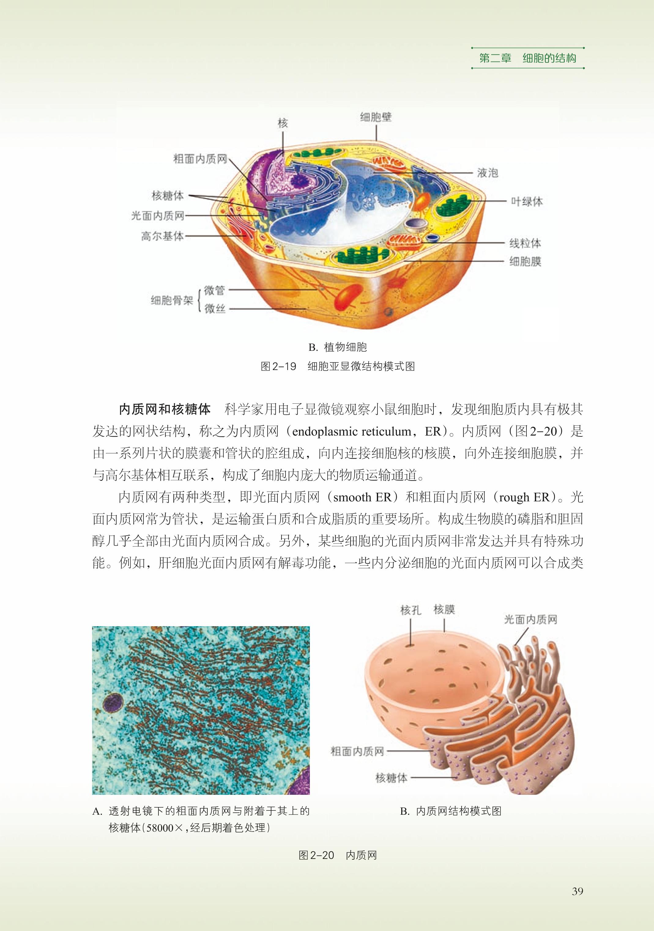 普通高中教科书·生物学必修1 分子与细胞（浙科版）PDF高清文档下载
