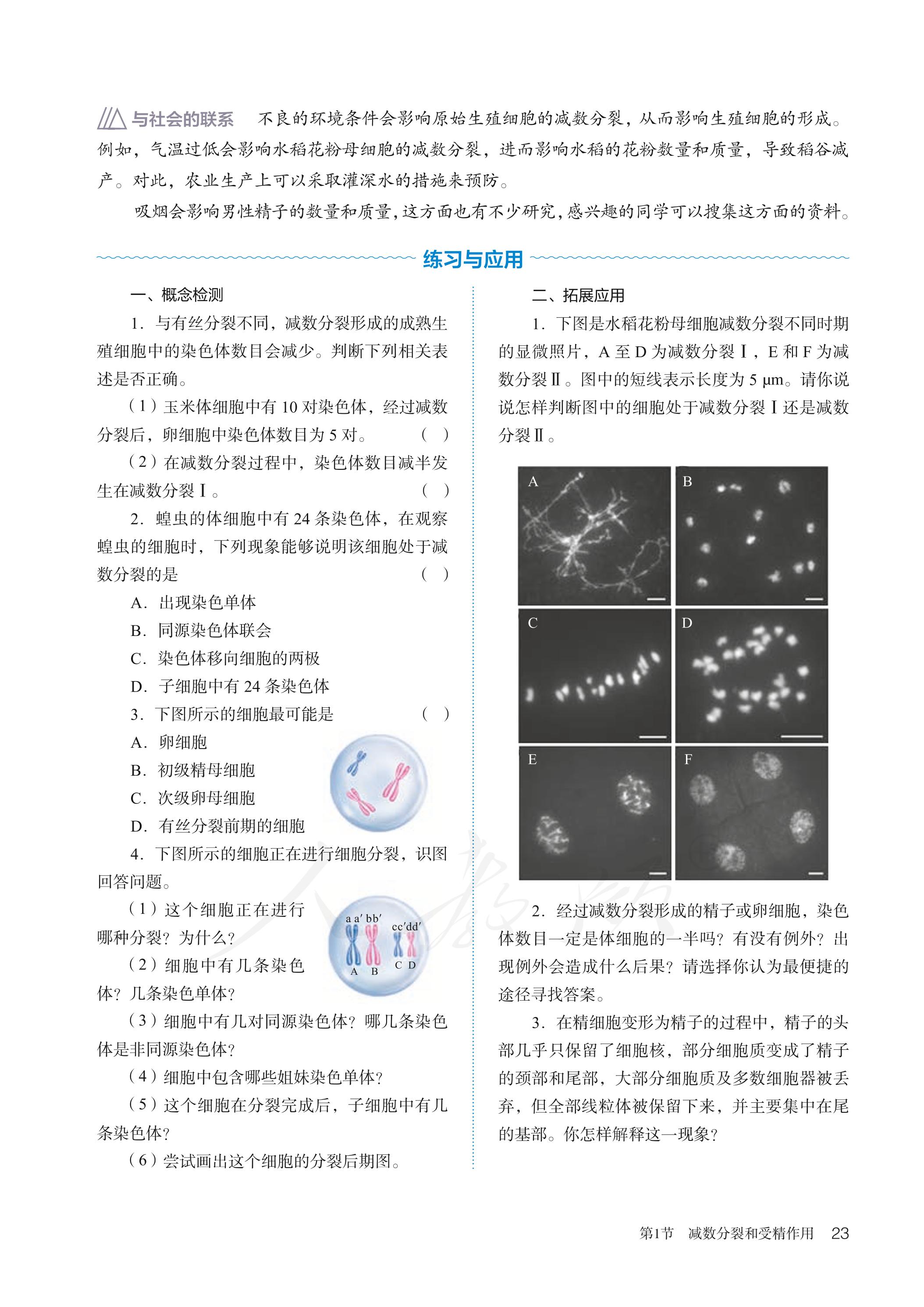 普通高中教科书·生物学必修2 遗传与进化（人教版）PDF高清文档下载